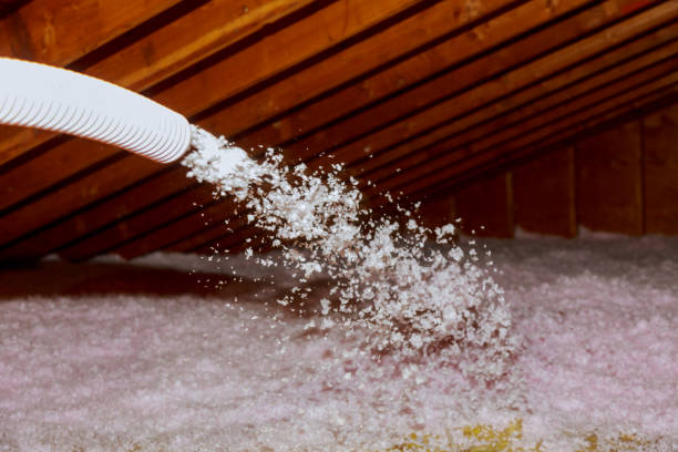 Best Eco-Friendly Insulation in Chestertown, MD