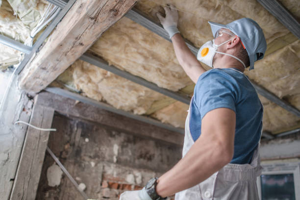 Types of Insulation We Offer in Chestertown, MD
