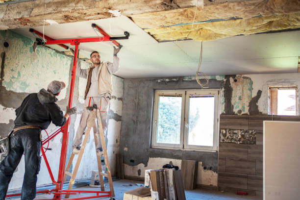 Best Residential Insulation in Chestertown, MD