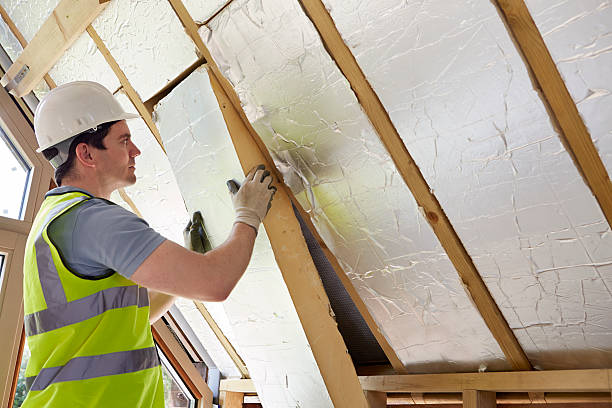 Best Geographic-Specific Insulation Services in Chestertown, MD