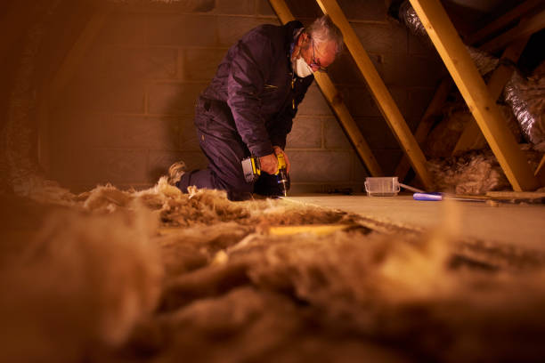 Best DIY Insulation Kits and Guidance in Chestertown, MD